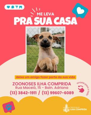 WhatsApp Image 2025-11-06 at 11.28.12