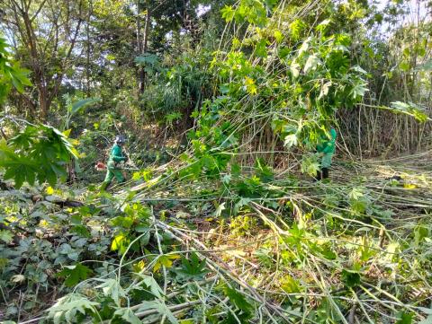 Cronograma de obras e serviços segue em diversas regiões da cidade nesta quinta-feira