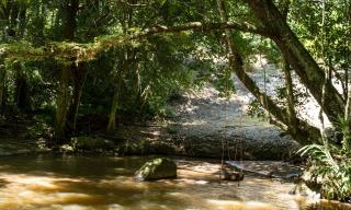 g_50_0_1_28012020113319