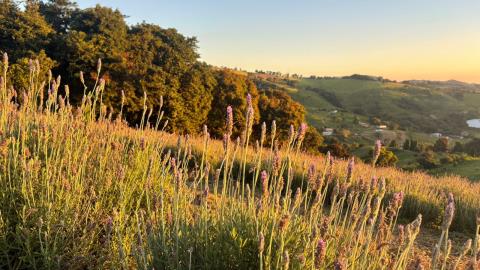 WhatsApp Image 2026-03-30 at 18.25.48(2)