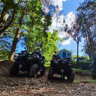 WhatsApp Image 2025-02-18 at 11.31.17