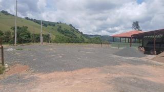 WhatsApp Image 2025-01-25 at 11.08.08