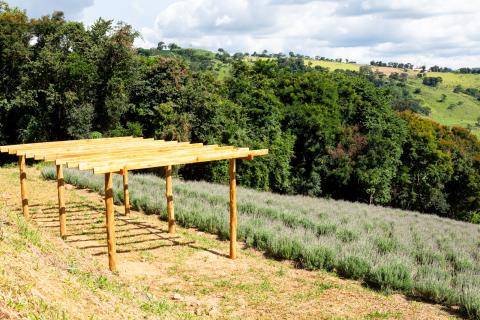 WhatsApp Image 2026-03-30 at 18.25.47(3)