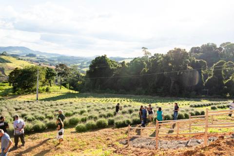 WhatsApp Image 2026-03-30 at 18.25.47(2)