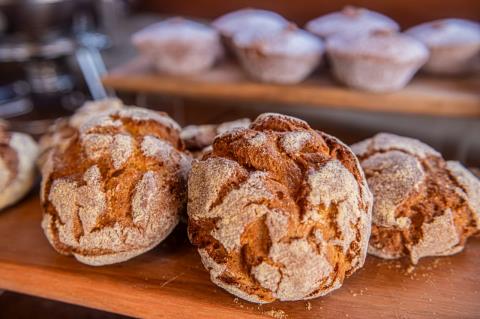 WhatsApp Image 2026-01-15 at 14.37.41