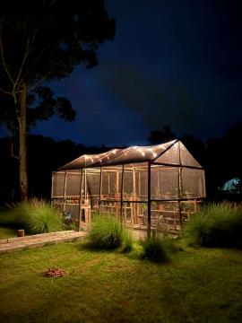 WhatsApp Image 2026-04-07 at 18.13.29