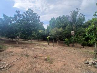 WhatsApp Image 2025-02-26 at 14.31.27 (1)