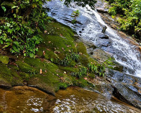 Caminhada Ecológica