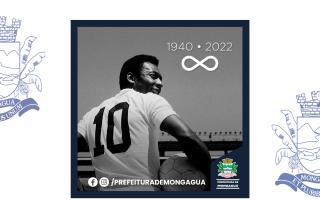 Pelé Site