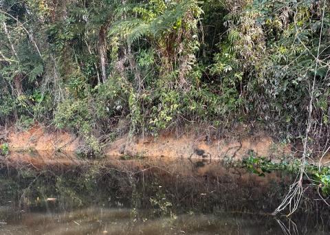 Vistoria Rio Aguapeú (2)