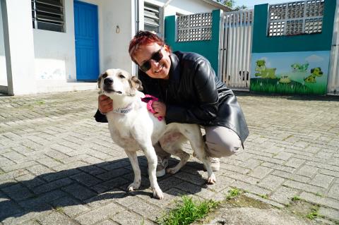 Feira de Adoção Pet