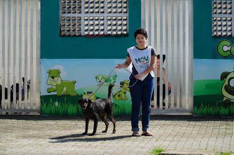 Feira de Adoção Pet (5)