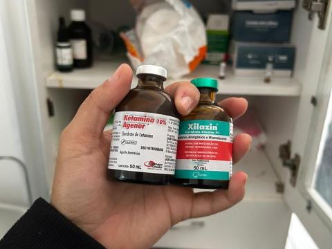 Interdição Clínica Veterinária (5)