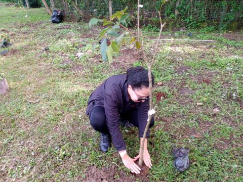 1ª Floresta de Bolso (2)