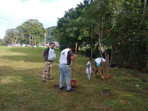 1ª Floresta de Bolso