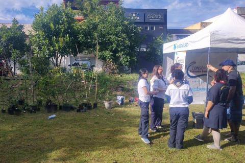 1ª Floresta de Bolso (2)