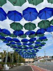 01.06.2022 Prefeitura inicia atividades do Junho VerdeAzul 2022 (3)