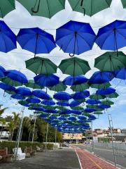 01.06.2022 Prefeitura inicia atividades do Junho VerdeAzul 2022 (4)