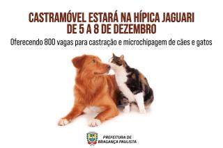 Com mais de 20 mil castrações realizadas, Castramóvel estará na Hípica Jaguari de 5 a 8 de dezembro