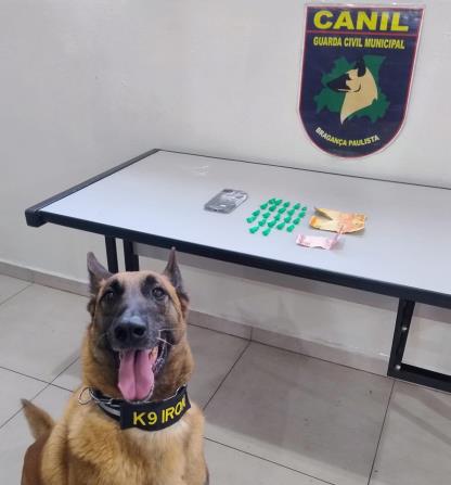 Operação resulta em prisão de procurado e apreensão de drogas no Cruzeiro