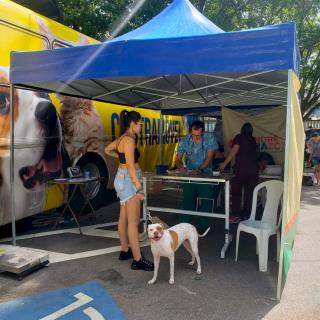 04.04.2022 Castramóvel – 277 cães e gatos foram atendidos no bairro Lavapés (1)
