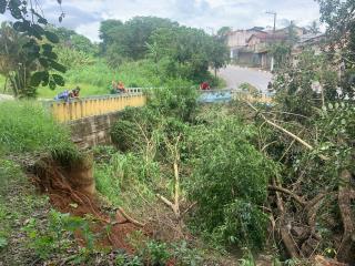 Queda de árvores em ribeirão no São Miguel