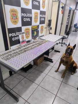 GCM apoia Polícia Civil em operação que resulta em prisão e apreensão de drogas