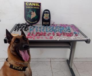 Cão Iron auxiliou na apreensão de mais de 200 porções de drogas na Penha