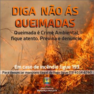 08.03.2021 Arte Queimadas