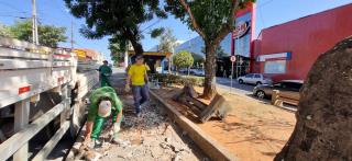 Melhorias em calçadas na Avenida dos Imigrantes próximo à Câmara Municipal