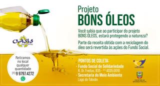 11.06.2021 Projeto bons óleos