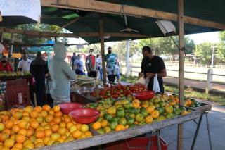 12.04.2021 Feiras Livres- Arquivo SECOM (1)