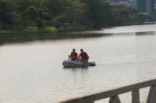 Capivara 2