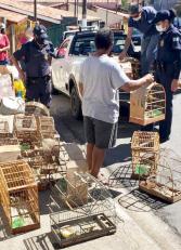 14.04.2021 apreensão de animais silvestres (1)