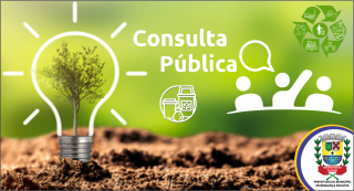 Consulta