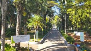 Jardim Público - arquivo SECOM