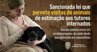 Lei Visita Animais site