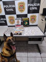 Operação conjunta em Bragança Paulista apreende drogas e detém suspeito com apoio do Canil da GCM