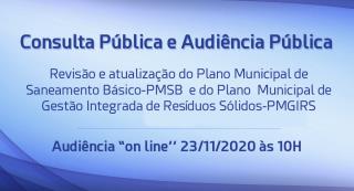 Consulta Publica site