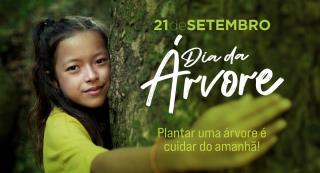 Dia da árvore