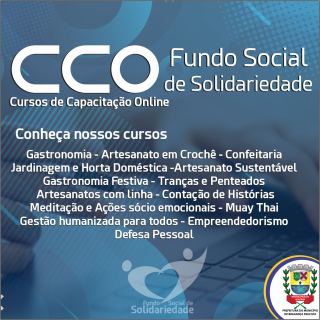 1 CCO - Cursos de Capacitação Online