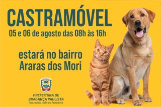 arte