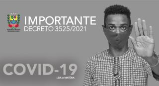 Decreto3525