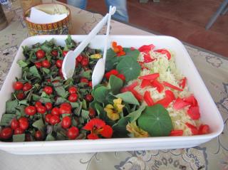 Oficina - Vivência Gastronômica com as PANC - Plantas Alimentícias Não Convencionais (1)