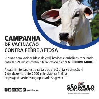 Campanha de vacinação contra Febre Aftosa encerra no dia 30 de novembro