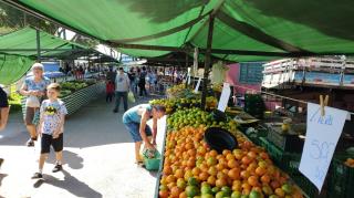 Feira Posto de Monta