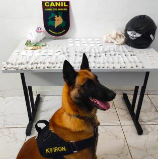 29.04.2022 GCM prende indivíduo por tráfico de drogas na Penha