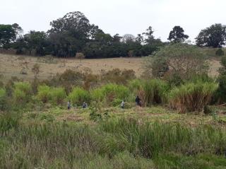 Bragança Paulista receberá R$ 2 milhões através do Programa Refloresta SP- Foto Arquivo SECOM