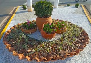 Paisagismo da Praça Chico Major tem chamado atenção de bragantinos e visitantes (2)