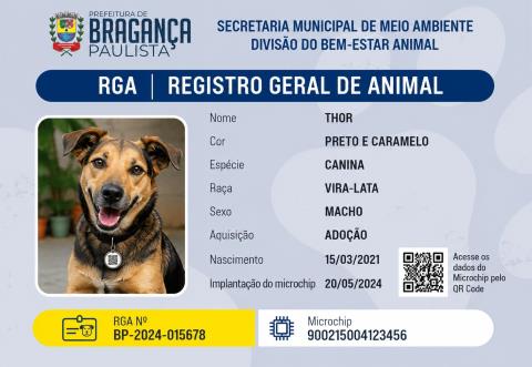 Saiba como fazer o Registro Geral Animal (RGA) e garantir mais segurança para seu pet